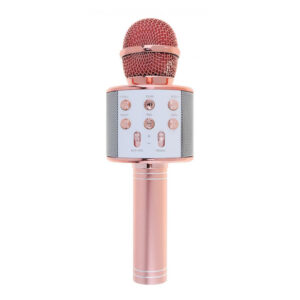 wireless-microphone-hifi-speaker